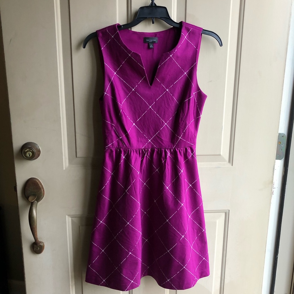 The Limited Fuchsia Print Dress